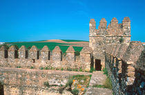 Castillo de Las Aguzaderas is a castle with a view of agriculture in south Spain von Danita Delimont