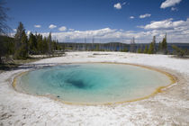 WY, Yellowstone National Park, West Thumb Geyser Basin by Danita Delimont