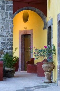 Mexico, San Miguel de Allende, Archway entrance to home. Credit as von Danita Delimont