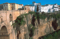 The gorge in Ronda by Danita Delimont