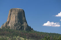 Tourists riding horses in front of Devils Tower National Monument, Wyoming by Danita Delimont