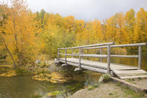 WA, Wenatchee NF, near Easton, Autumn color at Easton Ponds with trail by Danita Delimont