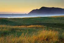 Grass waving in the wind at the coast near Gearhart, Oregon. by Danita Delimont