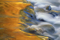 USA, Northeast, Fall color reflections on stream rapids. Credit as von Danita Delimont