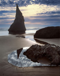 USA, Oregon, Face Rock Wayside von Danita Delimont