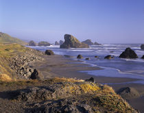 OR, Oregon Coast, Myers Creek, rock formations and shore by Danita Delimont