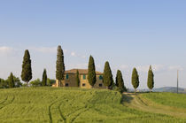 Pienza, Val d'Orcia, Siena province, Tuscany, Italy. von Danita Delimont