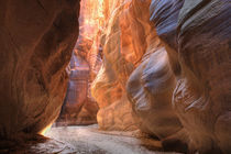 Utah, Paria Canyon-Vermillion Cliffs Wilderness, Buckskin Gulch von Danita Delimont