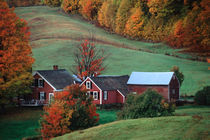 The Jenne Farm ion the fall, near Woodstock, Vermont. A release is available. von Danita Delimont