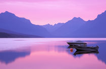 North America, USA, Montana, Glacier National Park. Lake McDonald at dawn by Danita Delimont