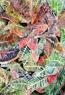 croton plant painting art print by Derek McCrea