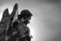 Angel by Tiago Pinheiro