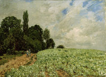 Alfred Sisley, Das Kleefeld von klassik art