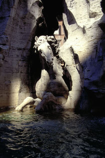 Rom, Fontana dei Fiumi, Hippokamp / Foto by klassik art