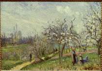 Pissarro/ Bluehender Obstgarten/ 1872 von klassik art
