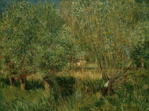 A.Sisley, Weiden am Ufer der Orvanne by klassik art