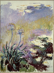 C.Monet, Schmucklilien von klassik art