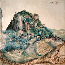 Albrecht Duerer, Arco / 1495 von klassik art