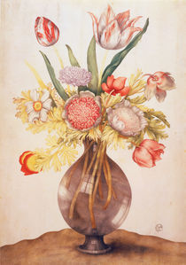 G.Garzoni, Tulpen, Mohn u.Paeonie by klassik art