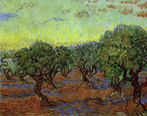 Van Gogh, Olivenhain by klassik art