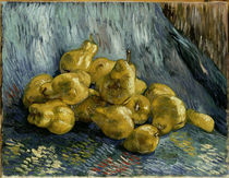 v.Gogh, Quittenstilleben von klassik art