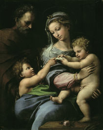 Raffael, Madonna mit der Rose by klassik art