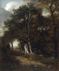 J.Constable, Waldlandschaft by klassik art