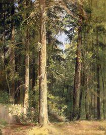 I.I.Schischkin, Wald by klassik art