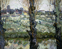 Van Gogh/ Blick auf Arles/ 1889 von klassik art