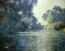 C.Monet, Arm der Seine bei Giverny by klassik art