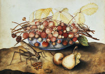 G.Garzoni, Schale mit Erdbeeren by klassik art