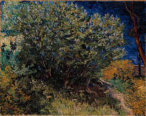 V.v.Gogh, Fliederstrauch by klassik art