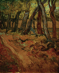 V.van Gogh,Weg im Garten der Heilanstalt by klassik art