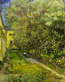 V.van Gogh, Garten Hospital St.Remy von klassik art