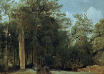 C.Corot, Lichtung im Wald von Fontainebl von klassik art