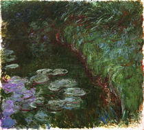 C.Monet, Seerosen (Koeln) von klassik art
