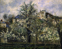 C.Pissarro, Gemuesegarten ... Pontoise by klassik art