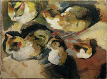 A.Macke, Katzenstudien, 1909 von klassik art