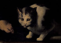 Giulio Romano, Katze by klassik art