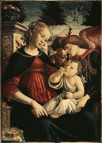 S.Botticelli, Maria mit Kind u.Engeln by klassik art