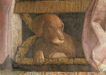 A.Mantegna, Camera d.Sposi, Hund by klassik art
