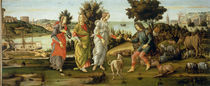 S.Botticelli, Urteil des Paris by klassik art