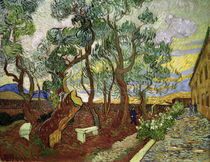 V.van Gogh, Garten des Hospit.St.Paul by klassik art