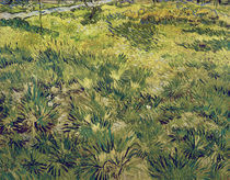 V.van Gogh, Wiese im Garten d.Hospitals by klassik art