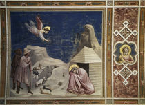 Giotto, Traum des Joachim / Padua von klassik art
