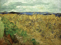 V.v.Gogh, Feld, mit Kornblumen von klassik art