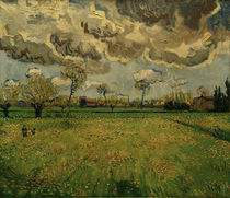 V.van Gogh, Wiesen (Arles) by klassik art
