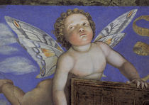 A.Mantegna, Camera degli Sposi, Putto by klassik art