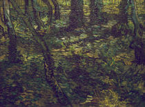 V.van Gogh, Unterholz mit Efeu by klassik art