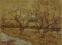 V.van Gogh, Provenzalischer Obstgarten by klassik art